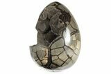 9.8" Septarian "Dragon Egg" Geode - Madagascar - #203812-2